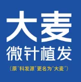 温州大麦植发